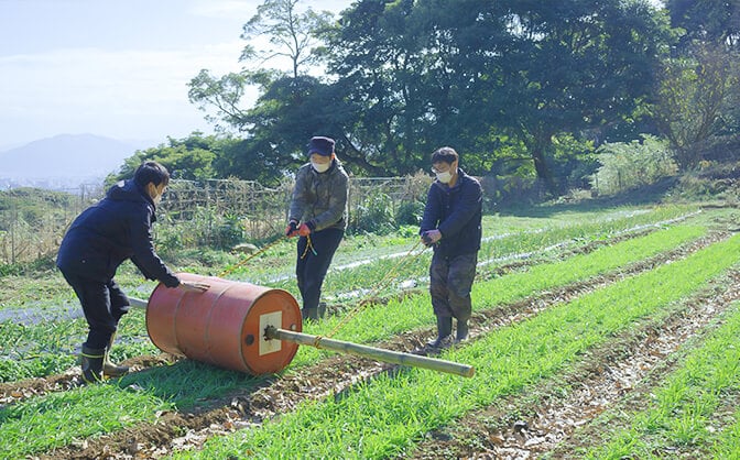 離れ小島で社員が野菜を！？ 画像