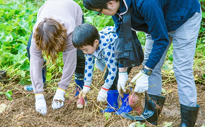 社員の家族のためのイベント 画像