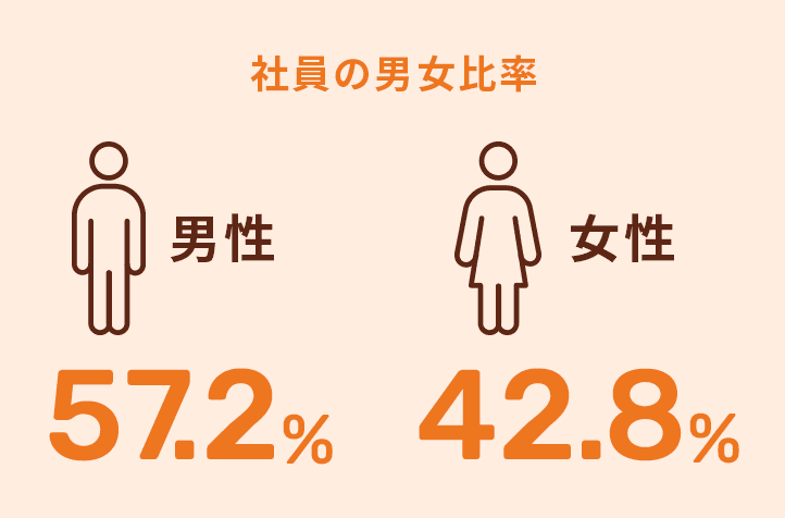 社員の男女比率