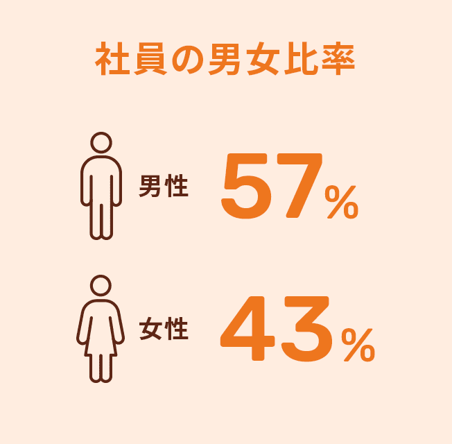 社員の男女比率