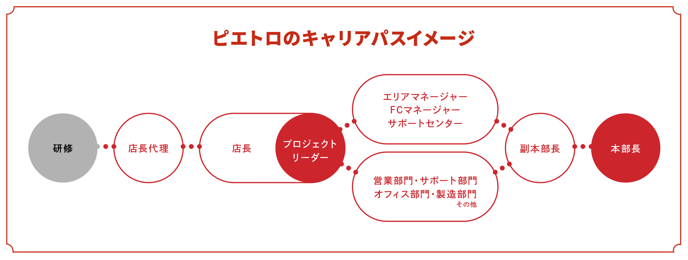 ピエトロののキャリアパスイメージ