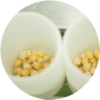 こだわりの具材感