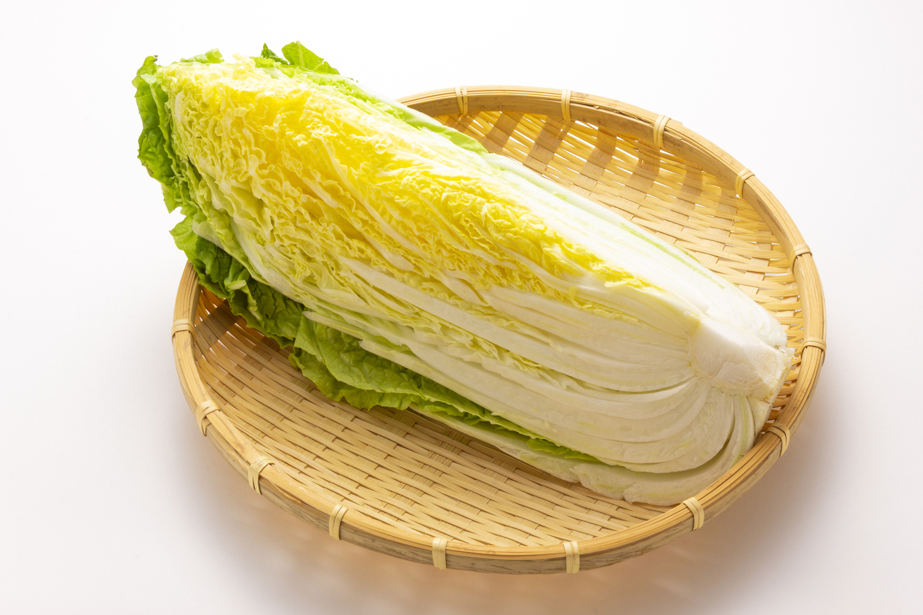 白菜の画像