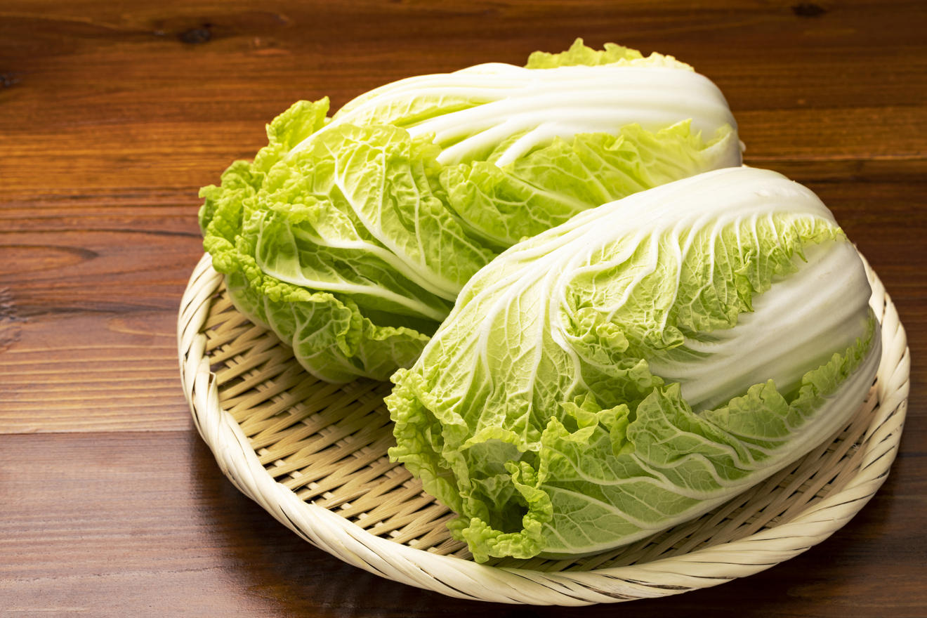 白菜の画像