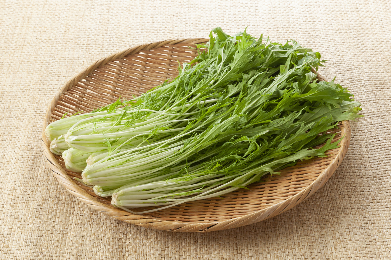 水菜の画像
