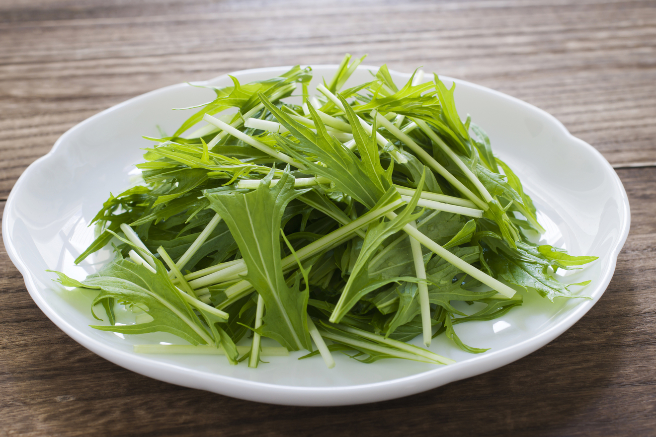 お皿にのせた水菜の画像