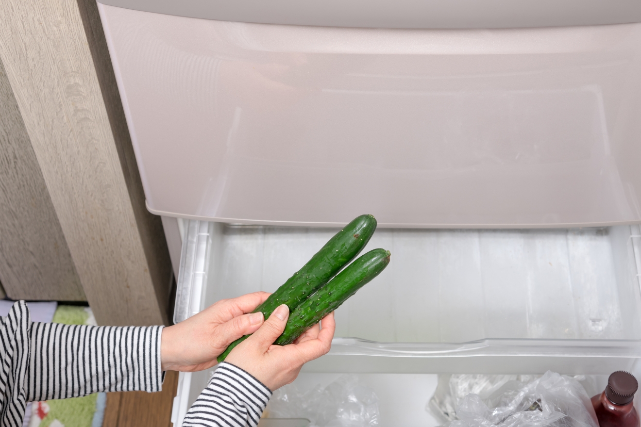 きゅうりを手に取る画像