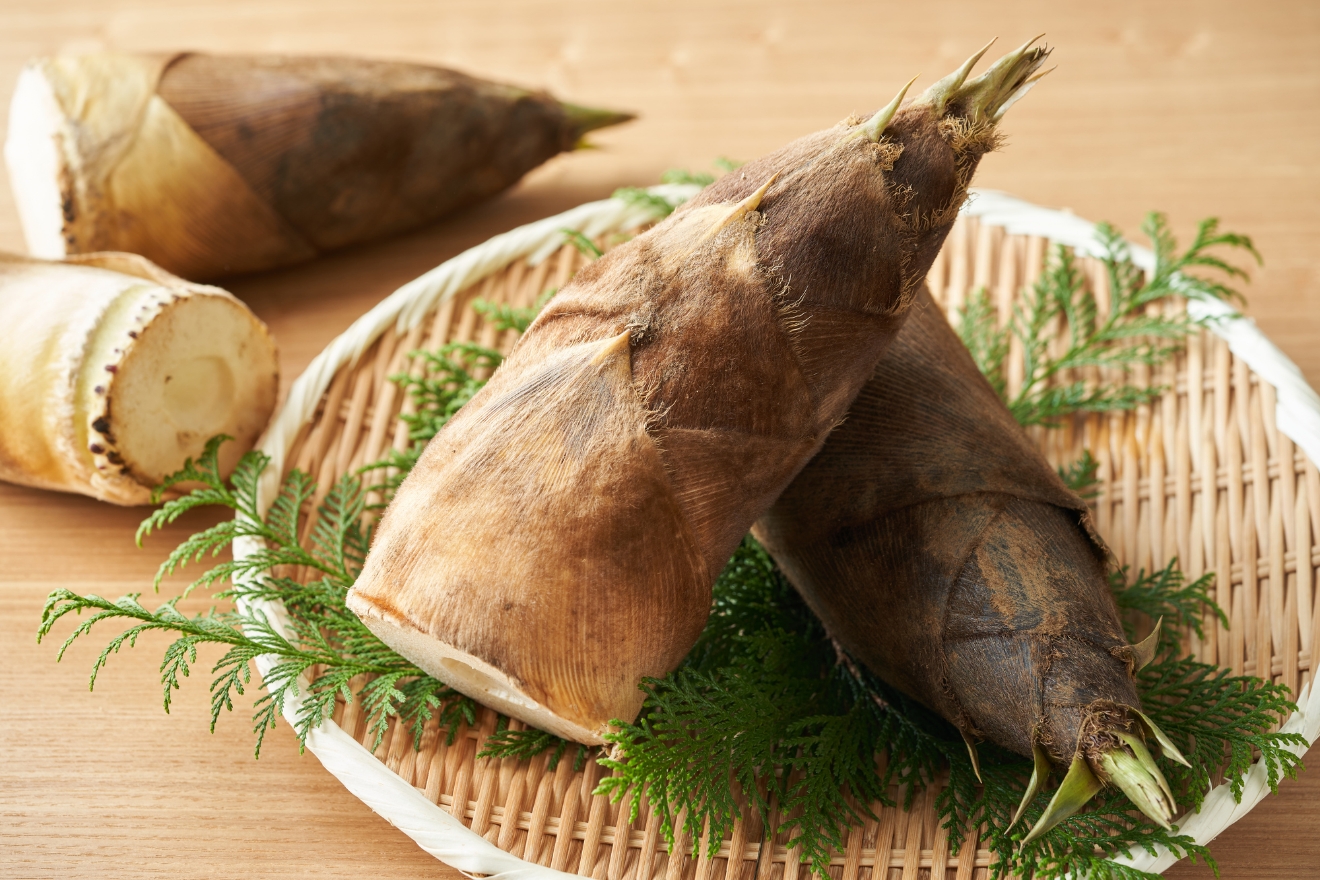 56ebf5a6a4235c305436747547e357