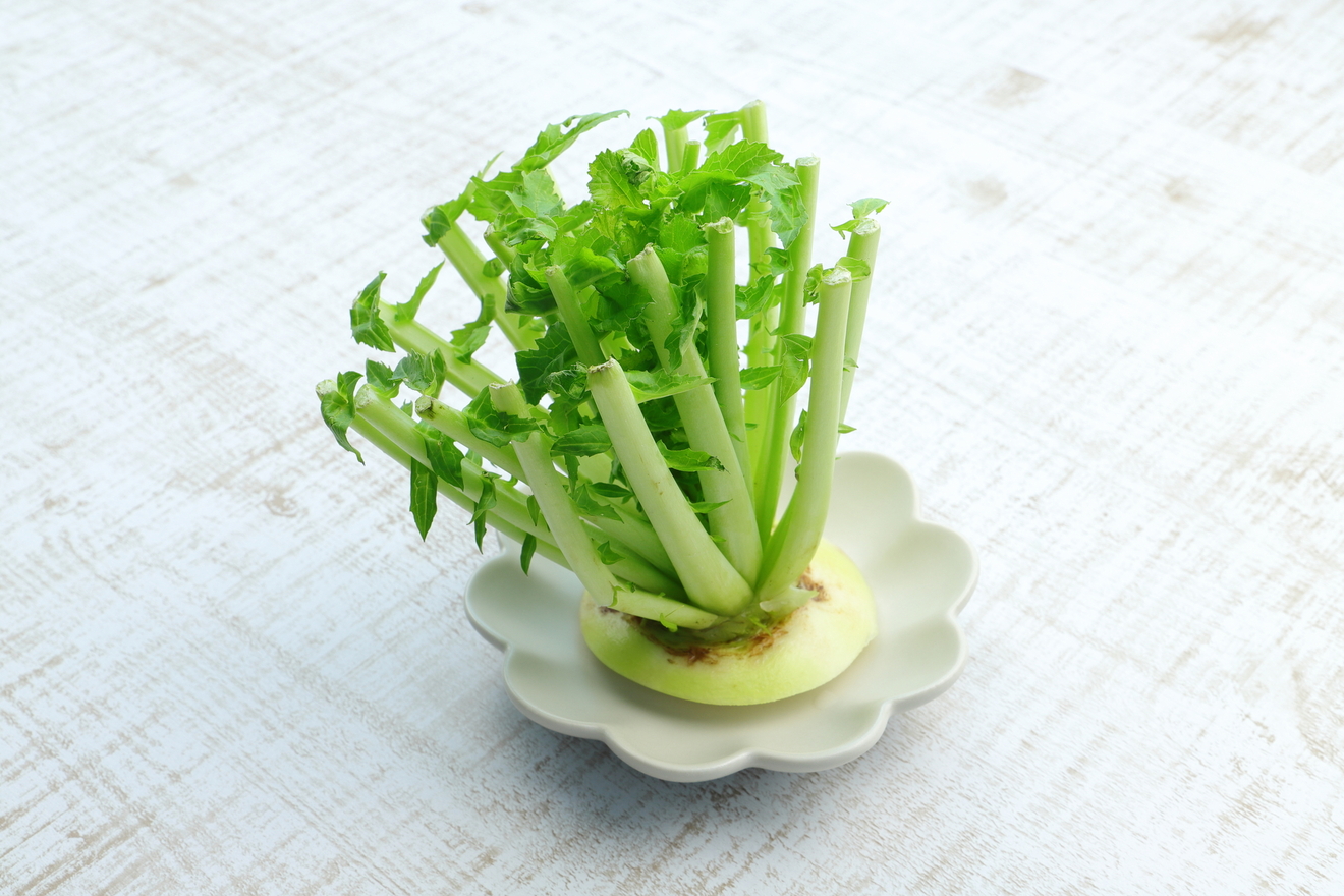 大根の葉の画像