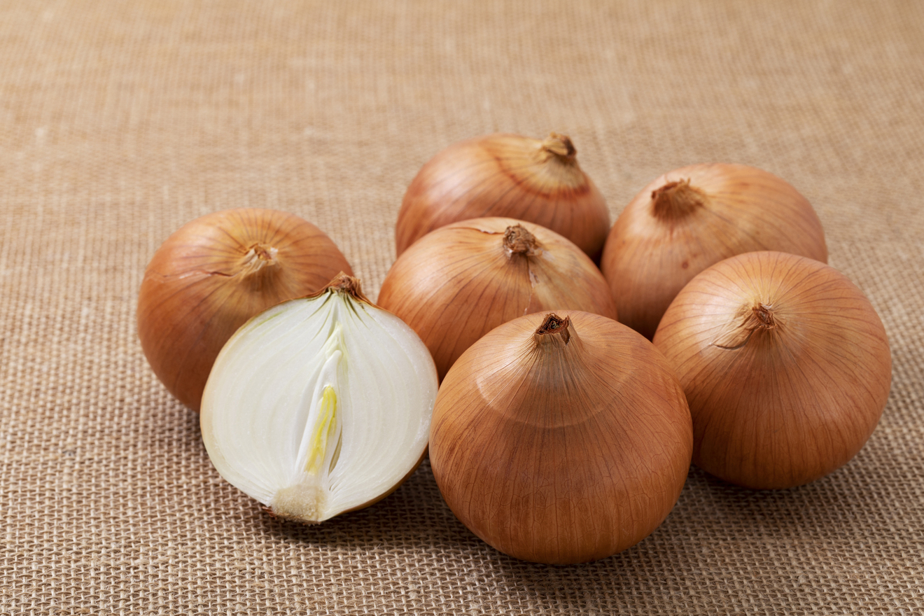 たまねぎの画像