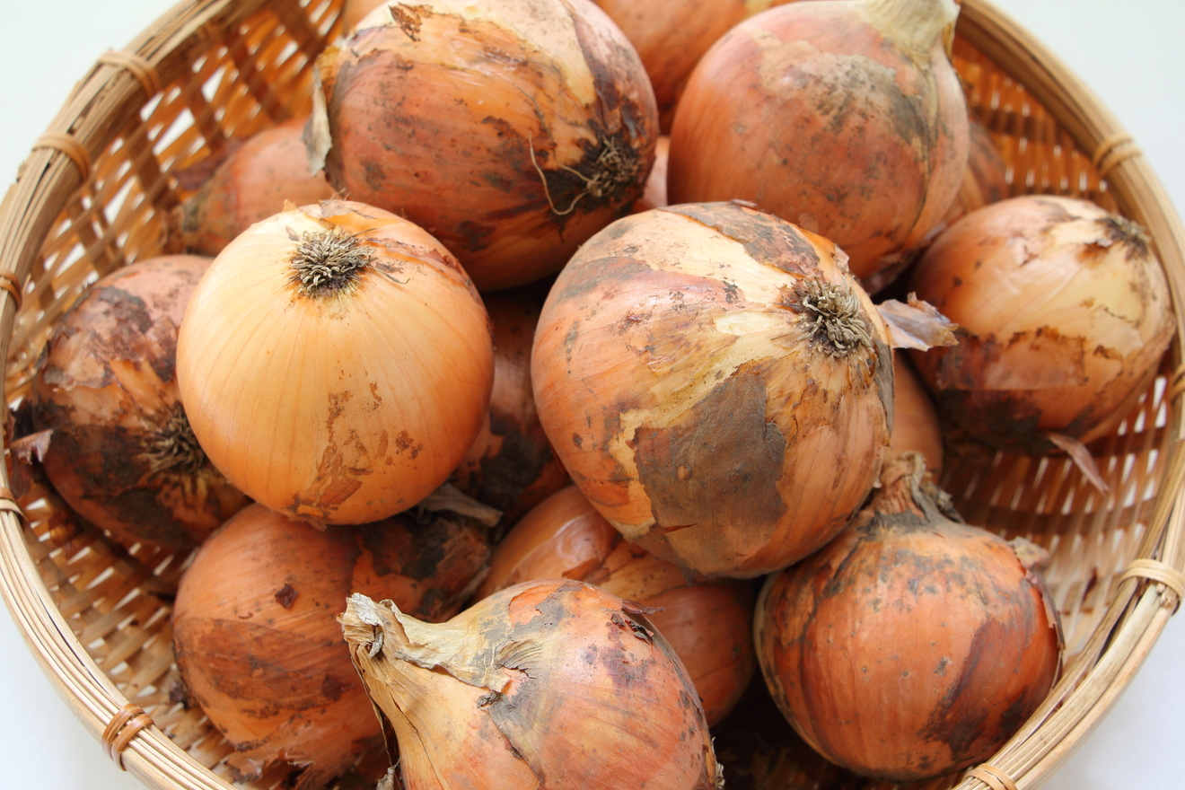たまねぎの画像