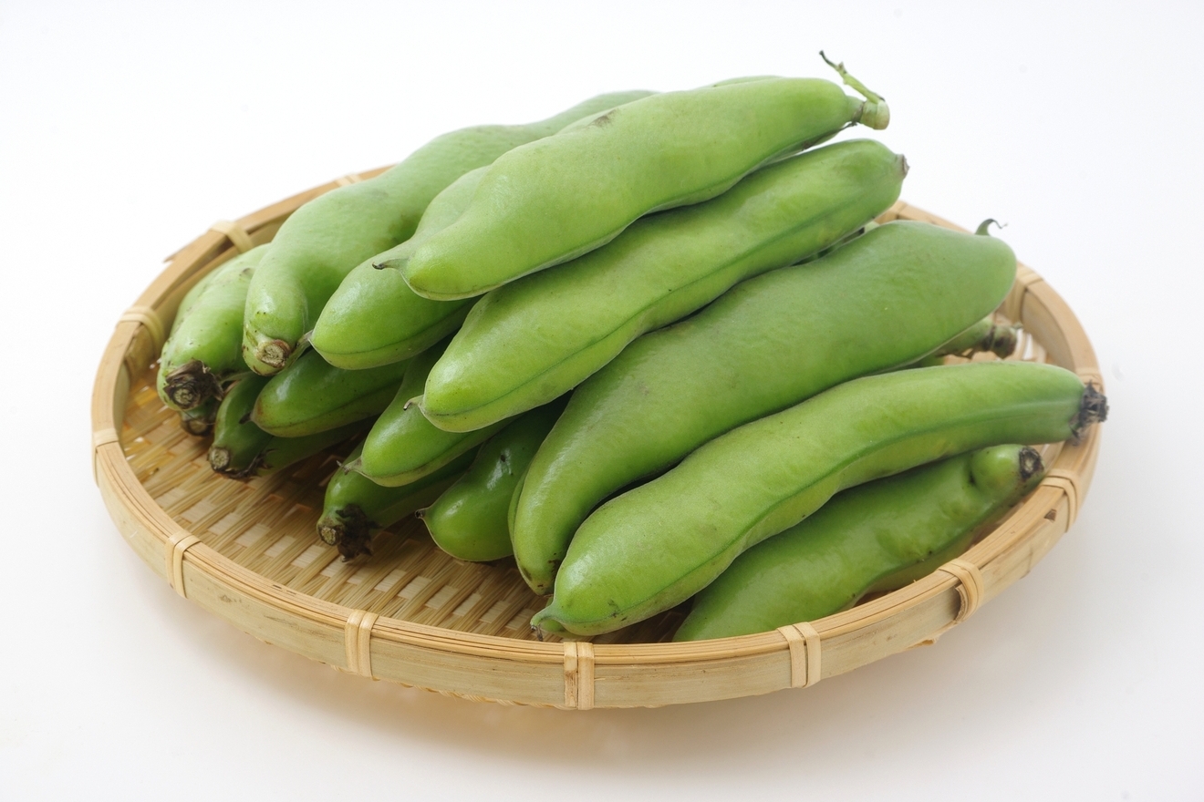 そら豆の画像