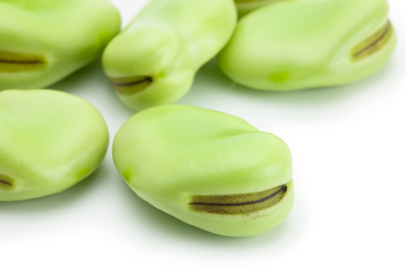 そら豆の画像