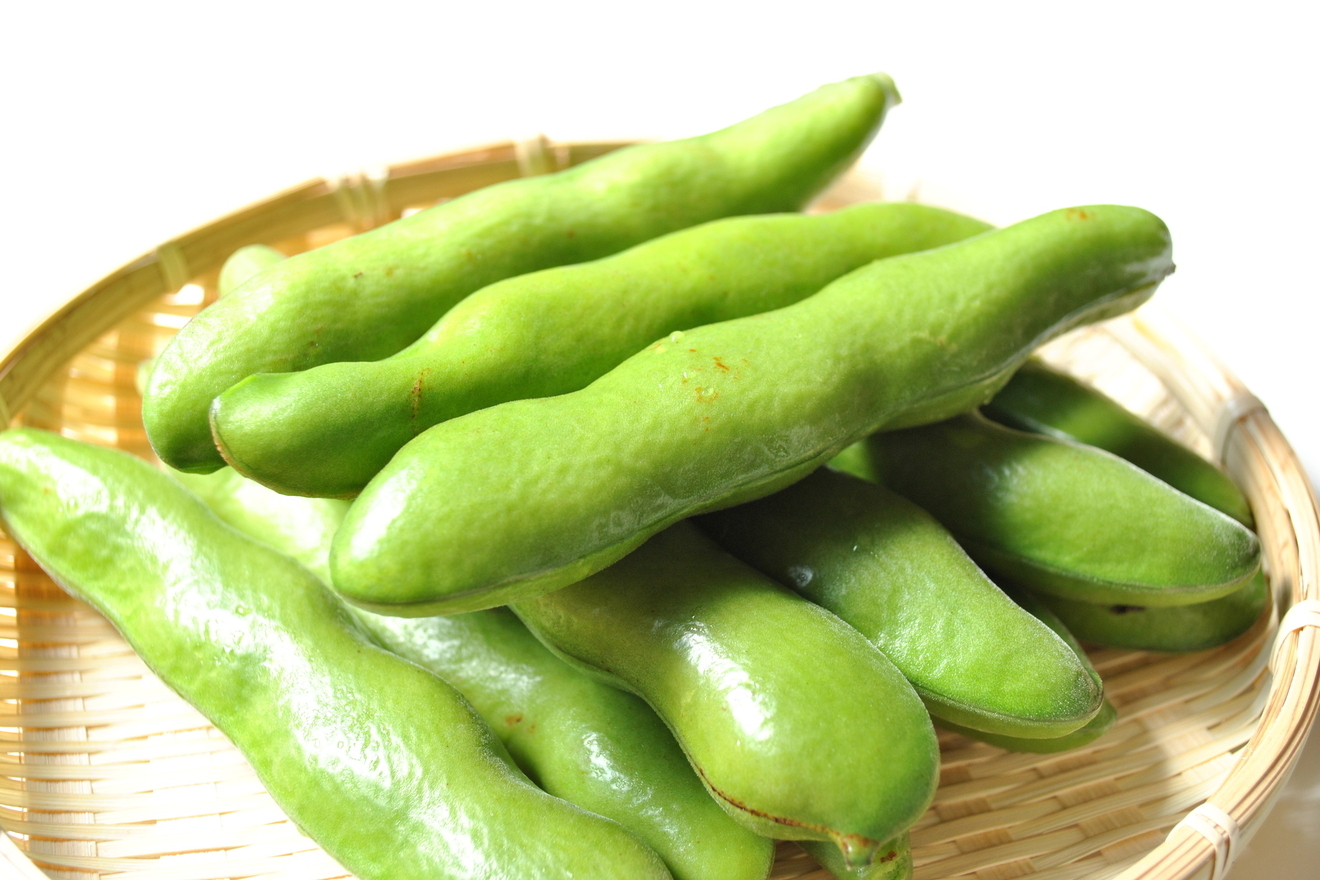 そら豆の画像