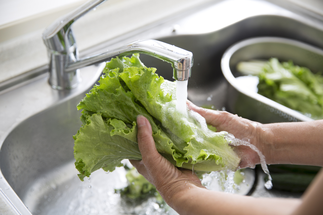 レタスを洗っている画像