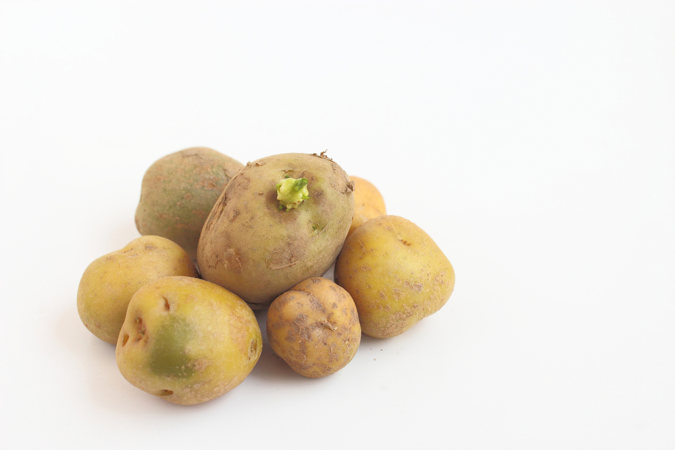 じゃがいもの画像