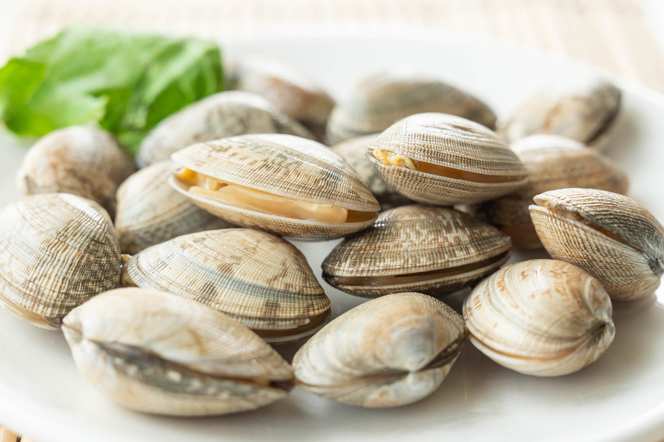 あさりの画像