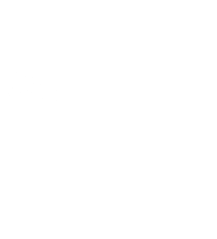 03：国産たまねぎ100%